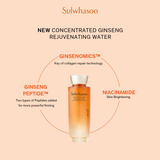 Sulwhasoo Concentrated Ginseng Rejuvenating Duo Set