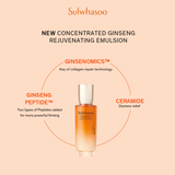 Sulwhasoo Concentrated Ginseng Rejuvenating Duo Set