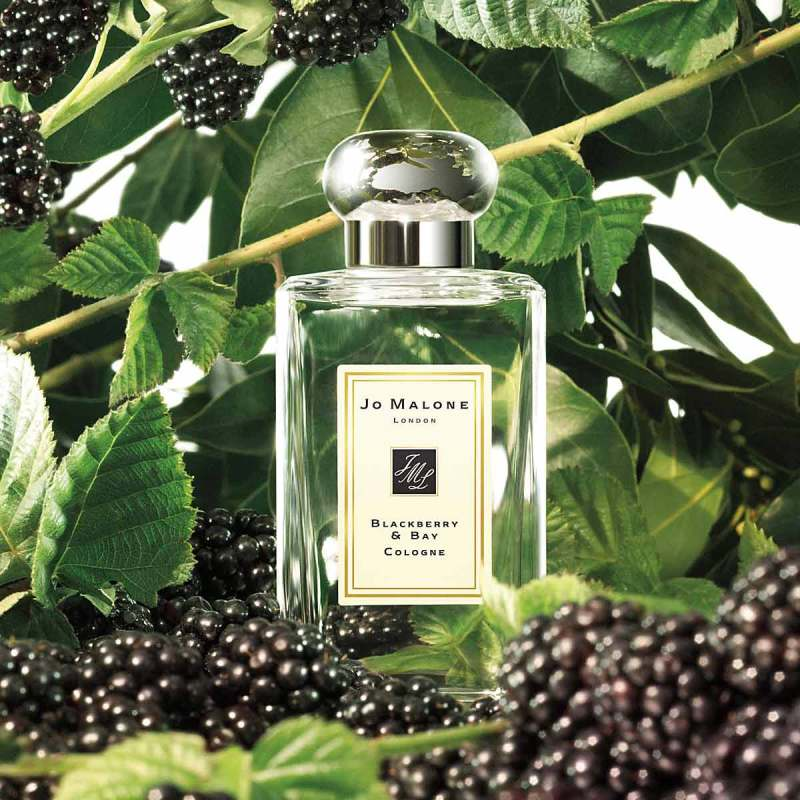 Jo Malone Blackberry & Bay Cologne Jo Malone Blackberry & Bay Cologne