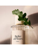 Chloé Atelier des Fleurs Chêne Eau de Parfum