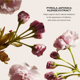 Shiseido White Lucent Overnight Cream & Mask 75ml