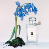Jo Malone Wild Bluebell Cologne