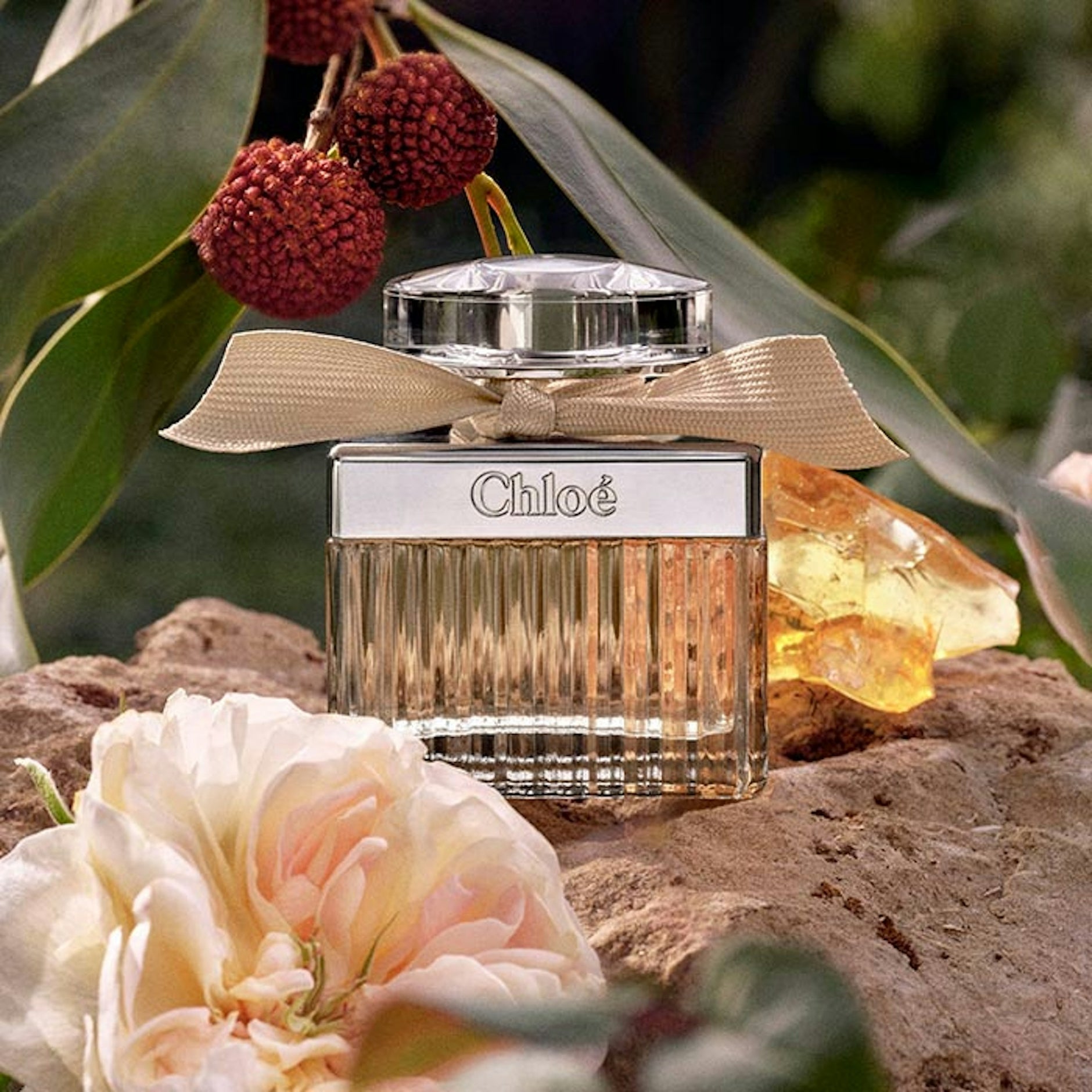 Chloe Signature Eau De Parfum – Eclare