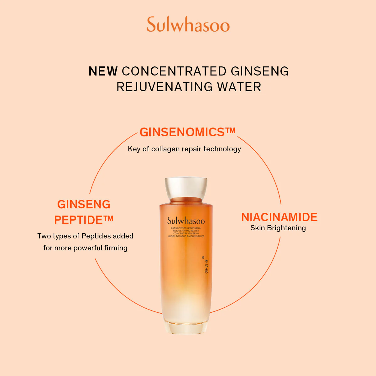 Sulwhasoo Concentrated Ginseng Rejuvenating Duo Set
