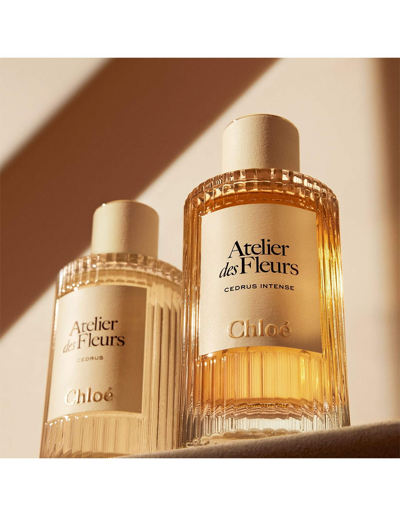 Chloé Atelier Des Fleurs Cedrus Eau De Parfum