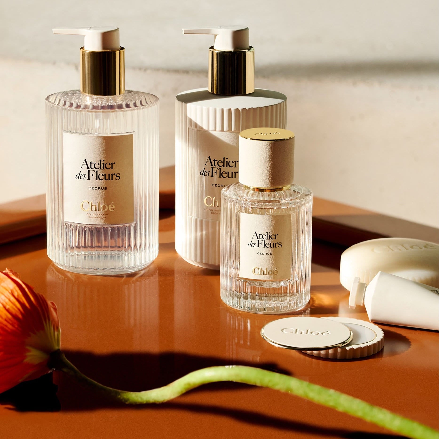 Chloé Atelier des Fleurs Cedrus Eau de Parfum & Body Lotion Gift Set (Limited Edition)