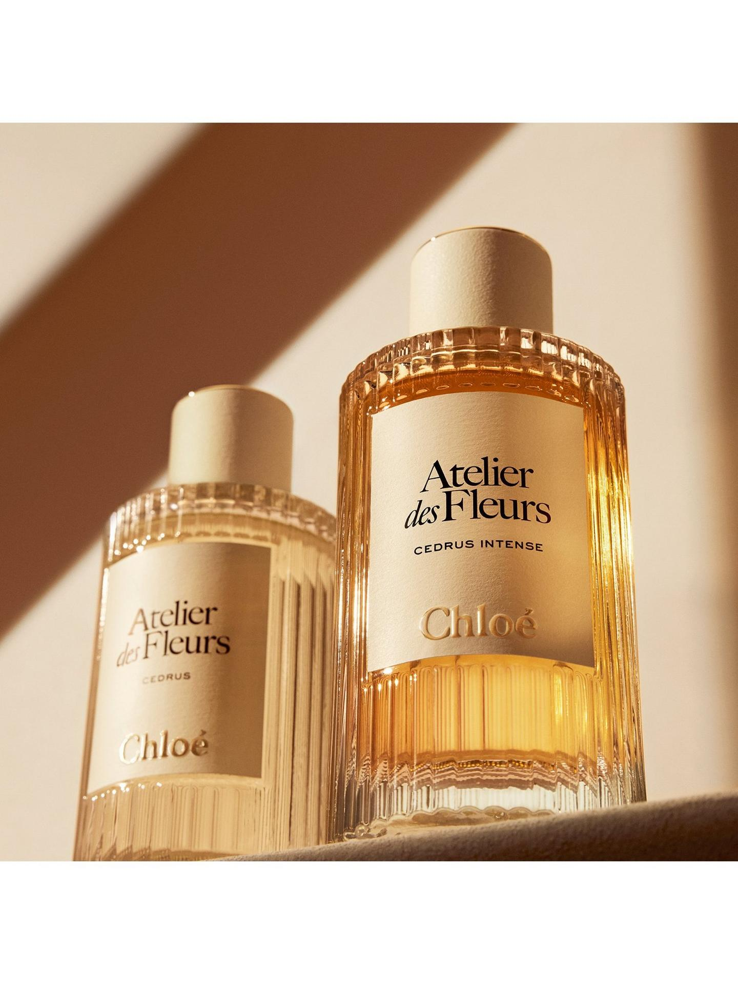 Chloe Atelier Des Fleurs Cedrus Intense Eau De Parfum – Eclare