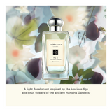 Jo Malone Fig & Lotus Flower Cologne