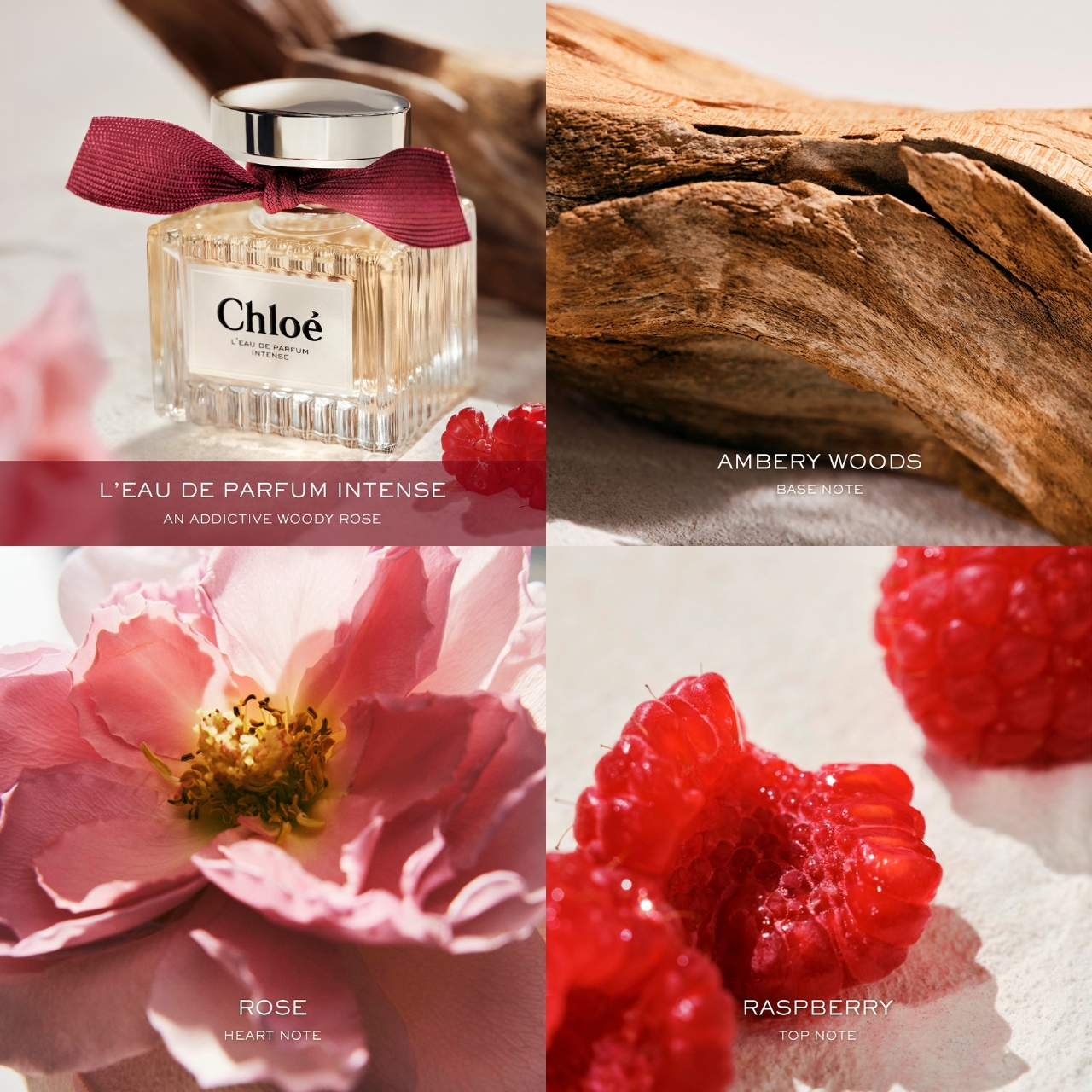 Chloé L’eau De Parfum Intense 50/100ml