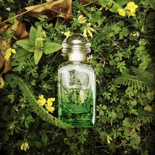 Hermes Un Jardin Sur Le Toit 淡香水 100ml 