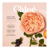 Chloé Rose Tangerine Eau De Toilette