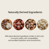 Hetras Perfumed Mango Seed Butter Hand Cream