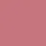 Tom Ford Beauty Slim Lip Color Shine Lipstick 0.9g