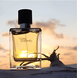 Hermès Terre d'Hermes Eau de Toilette