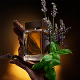 Dolce & Gabbana The One For Men Eau De Parfum